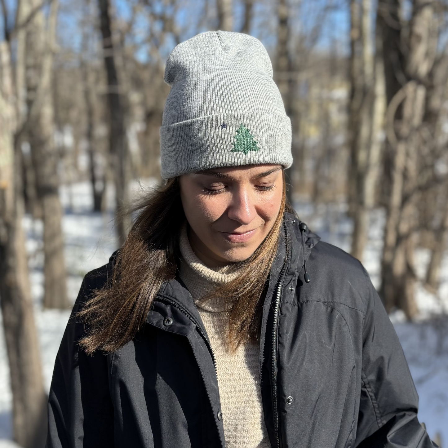 Embroidered Maine State Flag Beanie